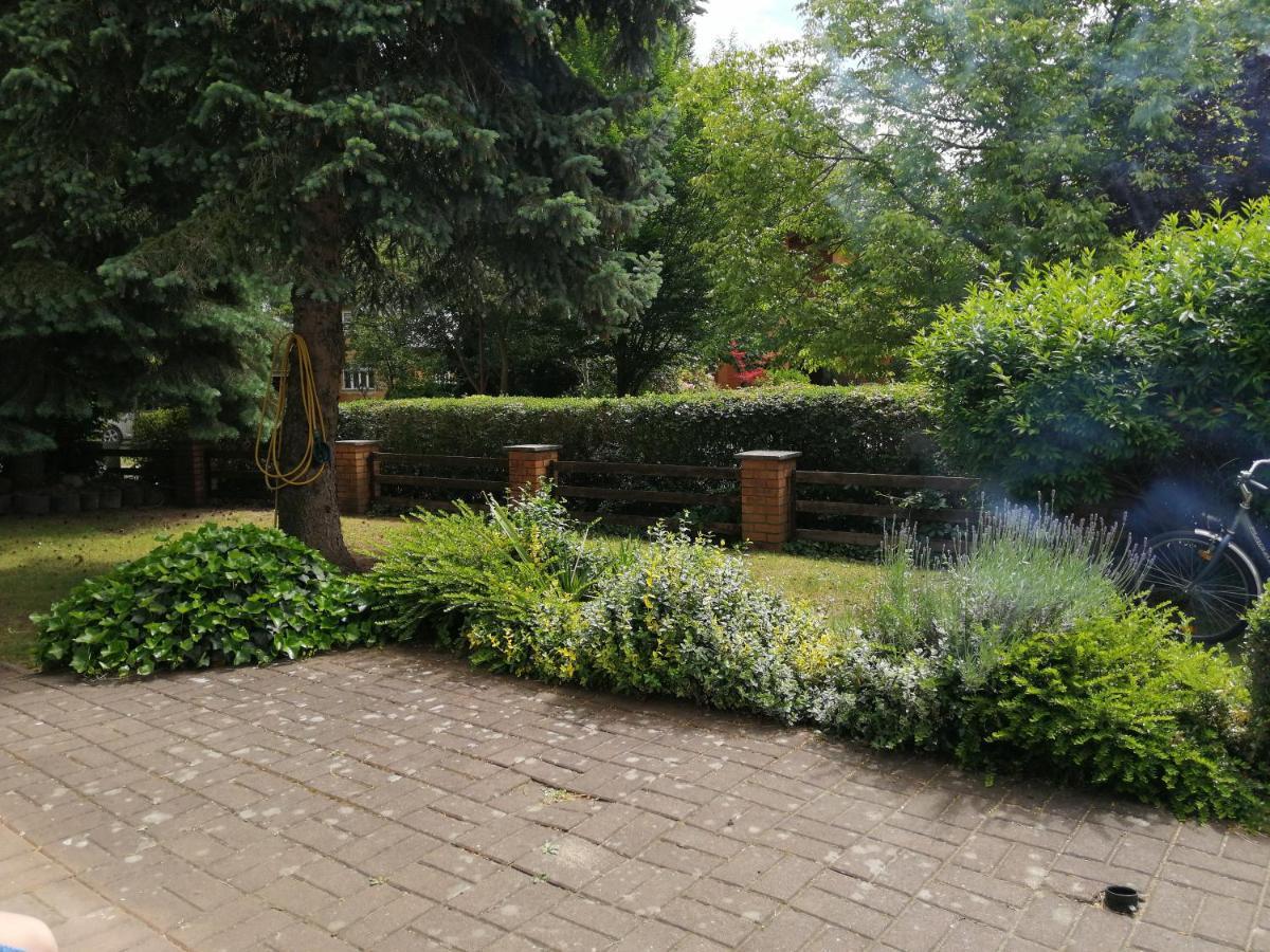 Ferienhaus Pauline Am See Müllrose Buitenkant foto